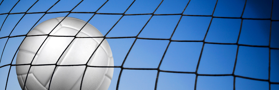 Jahresbericht Volleyball 2018-2019