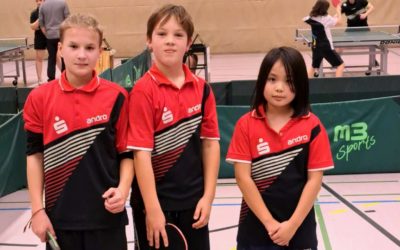 Hinrunde nähert sich dem Ende