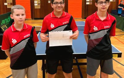 Jungen 13, 15 und 19 gewinnen Rückrundenauftakt