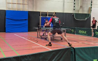 Grandioser Sieg über Meiderich 06/95 II